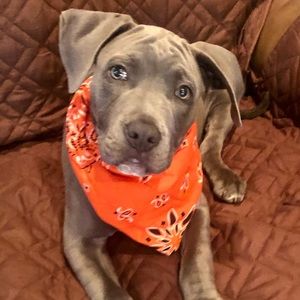 Meet your Posher, Cindy